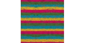 Пряжа Himalaya Everyday Rengarenk 70304