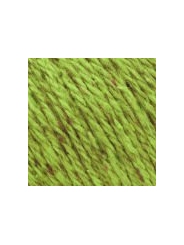 Пряжа Etrofil Rainbow RN172 (арахис зеленый)